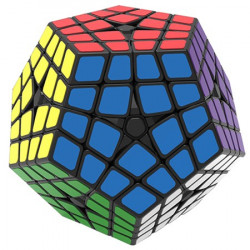 Shengshou Teraminx Magic Cube  Puzzle Black 